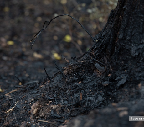 Пожароопасный сезон в большинстве территорий Свердловской области начнется 15 апреля