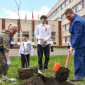 Аллею Памяти и Славы заложили сегодня на территории школы № 49